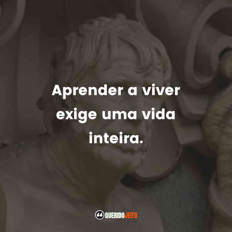 "Aprender a viver exige uma vida inteira." Frases de Sêneca 