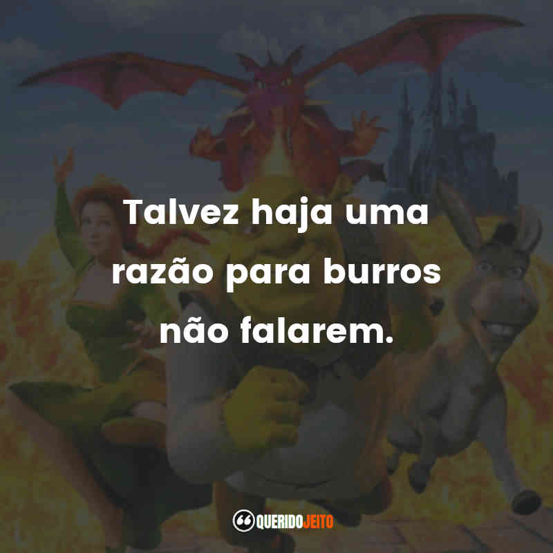"Talvez haja uma razão para burros não falarem."