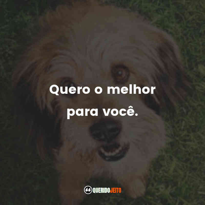 "Quero o melhor para você."