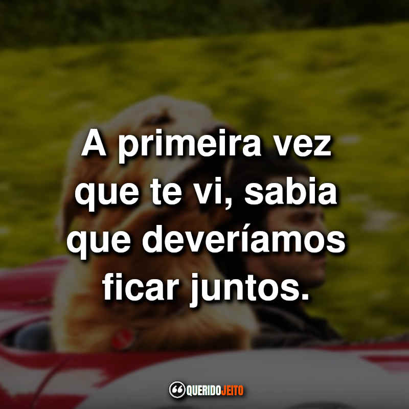 Frases do filme Meu Amigo Enzo: A primeira vez que te vi, sabia que deveríamos ficar juntos.