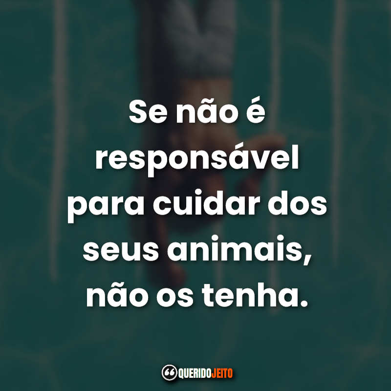 "Se não é responsável para cuidar dos seus animais, não os tenha."