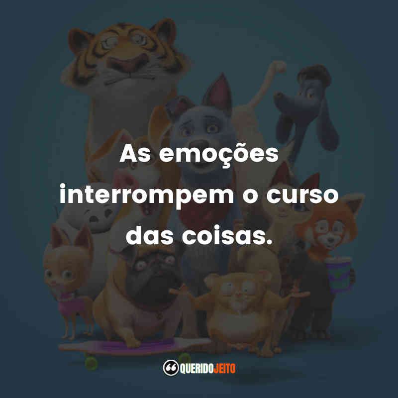 "As emoções interrompem o curso das coisas." Pets Unidos! Frases