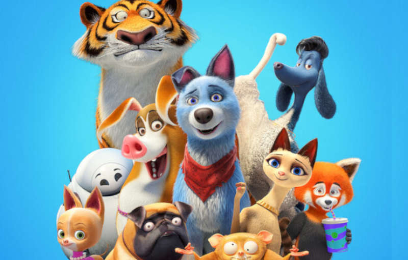 Frases do Filme Pets Unidos!