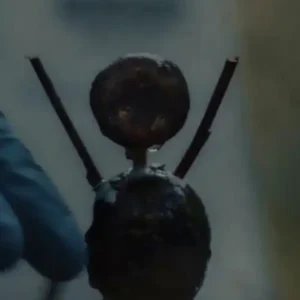Frases da Série O Homem das Castanhas – Mistério, Dor e Determinação