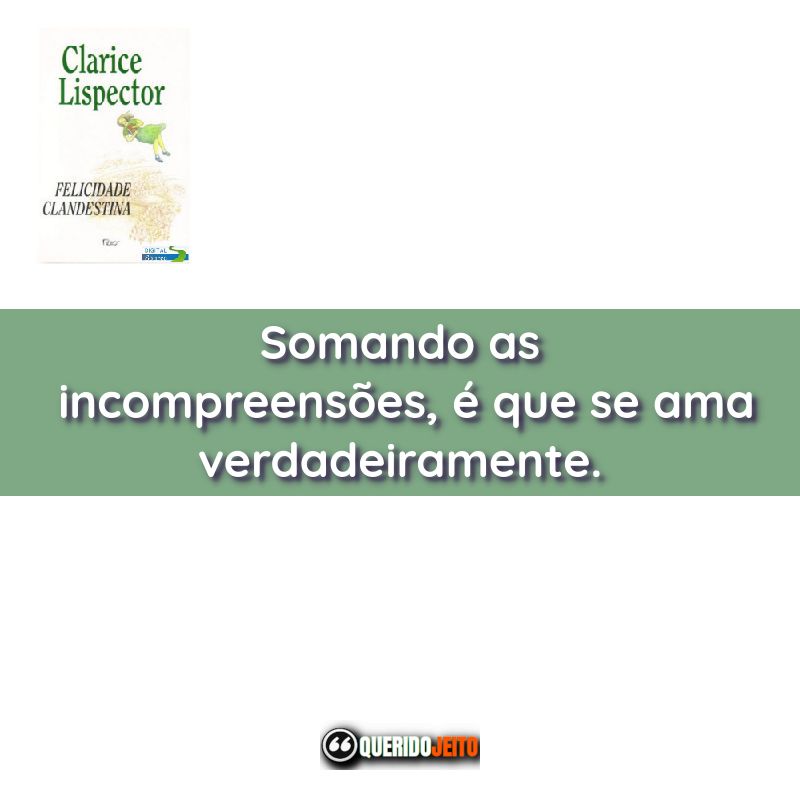 "Somando as incompreensões, é que se ama verdadeiramente." Frases do Livro Felicidade Clandestina