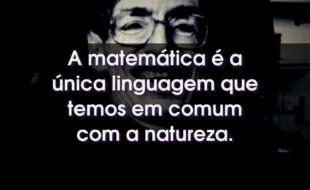 Frases do Stephen Hawking: A matemática é a única linguagem que temos em comum com a natureza.