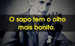 Frases de George Orwell: O sapo tem o olho mais bonito.