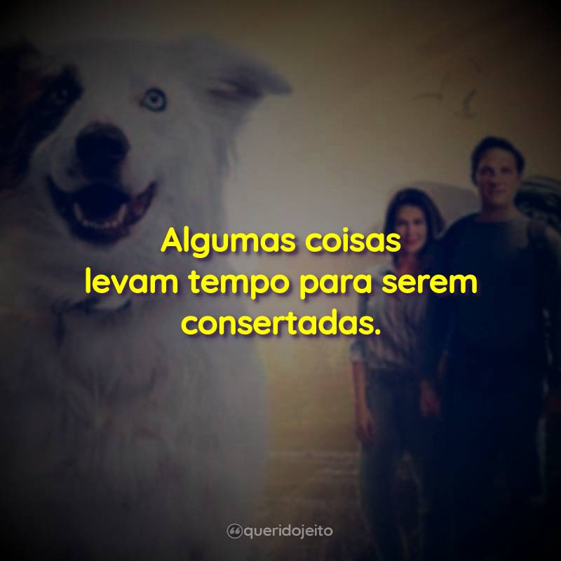 Algumas coisas levam tempo para serem consertadas.