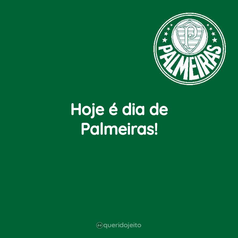 Hoje é dia de Palmeiras!