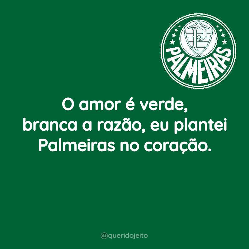 O amor é verde, branca a razão, eu plantei Palmeiras no coração.