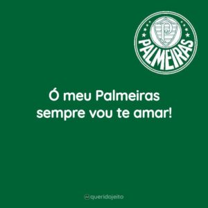 Ó meu Palmeiras sempre vou te amar!