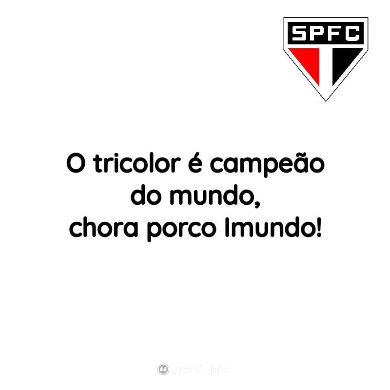 Frases do São Paulo Futebol Clube: O tricolor é campeão do mundo, chora porco Imundo!