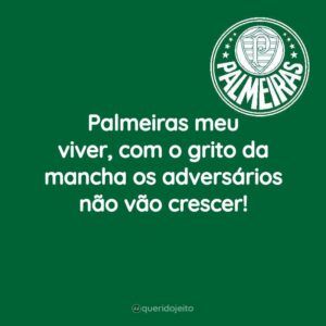 Palmeiras é o meu viver, tenho orgulho de ser Mancha Verde.