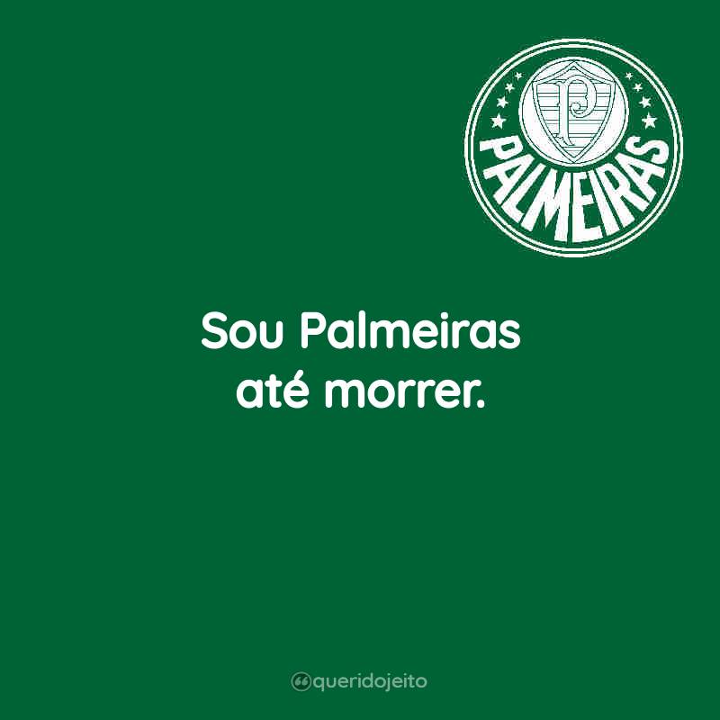 Sou Palmeiras até morrer.