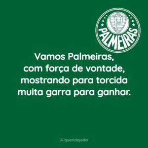 Vamos Palmeiras, com força de vontade, mostrando para torcida muita garra para ganhar.