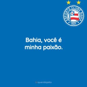 Bahia, você é minha paixão.