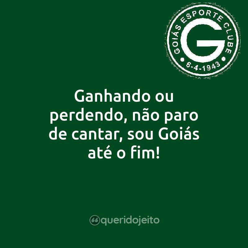 Frases do Goiás Esporte Clube: Ganhando ou perdendo, não paro de cantar, sou Goiás até o fim!