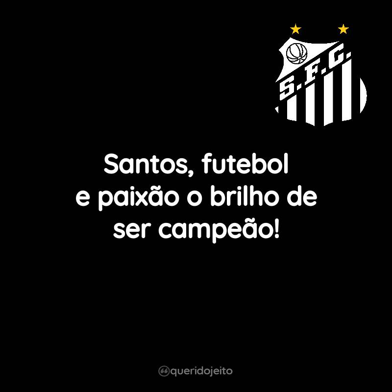 Santos, futebol e paixão o brilho de ser campeão!