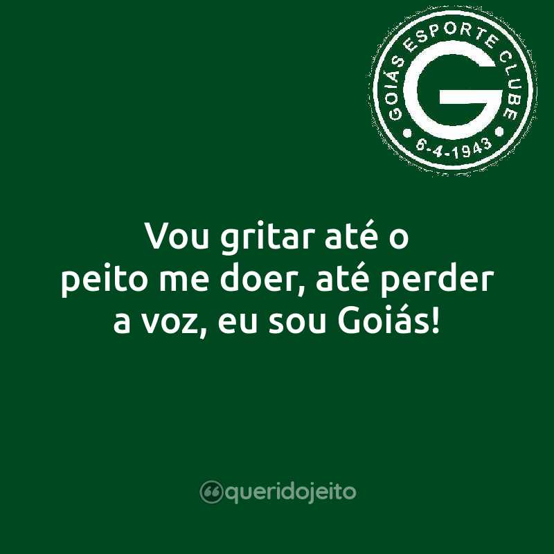 Vou gritar até o peito me doer, até perder a voz, eu sou Goiás!