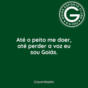Até o peito me doer, até perder a voz eu sou Goiás.