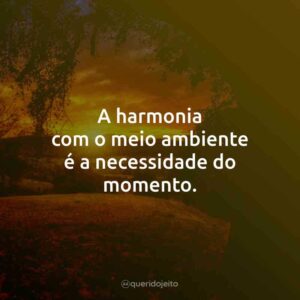 A harmonia com o meio ambiente é a necessidade do momento.