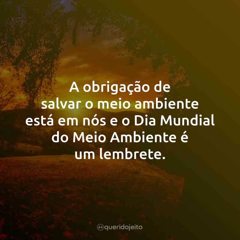 A obrigação de salvar o meio ambiente está em nós e o Dia Mundial do Meio Ambiente é um lembrete.