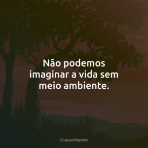 Não podemos imaginar a vida sem meio ambiente.
