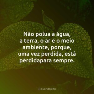 Não polua a água, a terra, o ar e o meio ambiente, porque, uma vez perdida, está perdida para sempre.