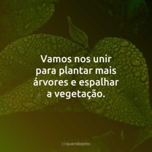 Vamos nos unir para plantar mais árvores e espalhar a vegetação.