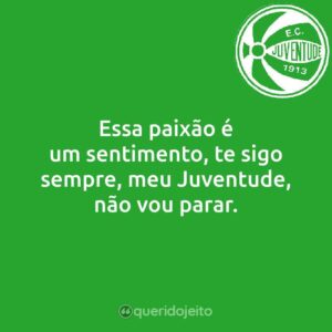 Essa paixão é um sentimento, te sigo sempre, meu Juventude, não vou parar.