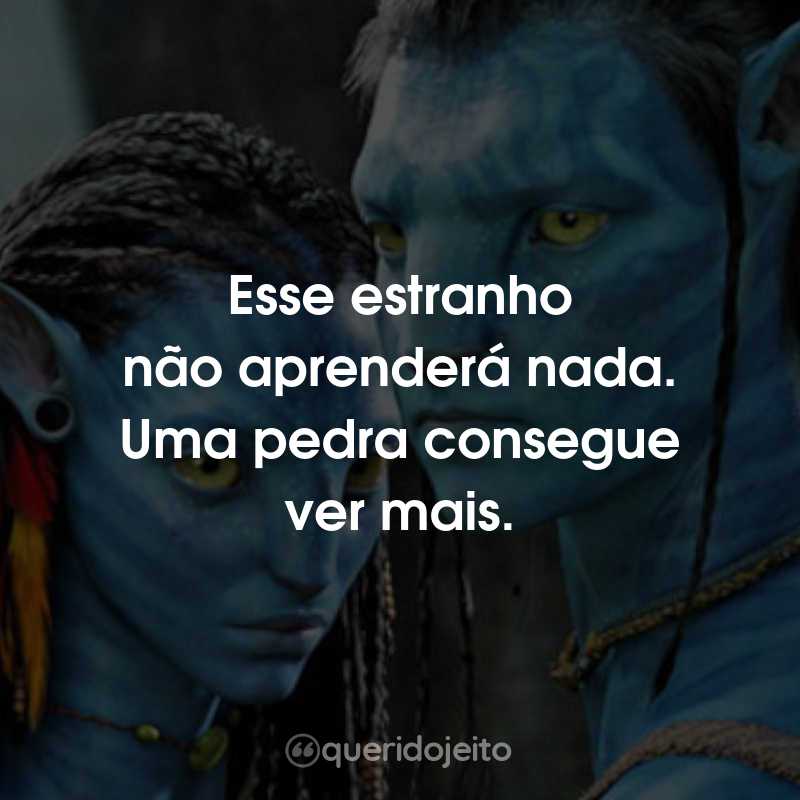 Frases do Filme Avatar: Esse estranho não aprenderá nada. Uma pedra consegue ver mais.