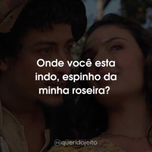 Onde você esta indo, espinho da minha roseira?