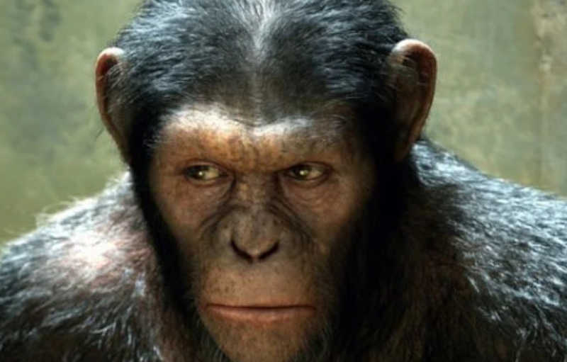 Frases do Filme Planeta dos Macacos: A Origem
