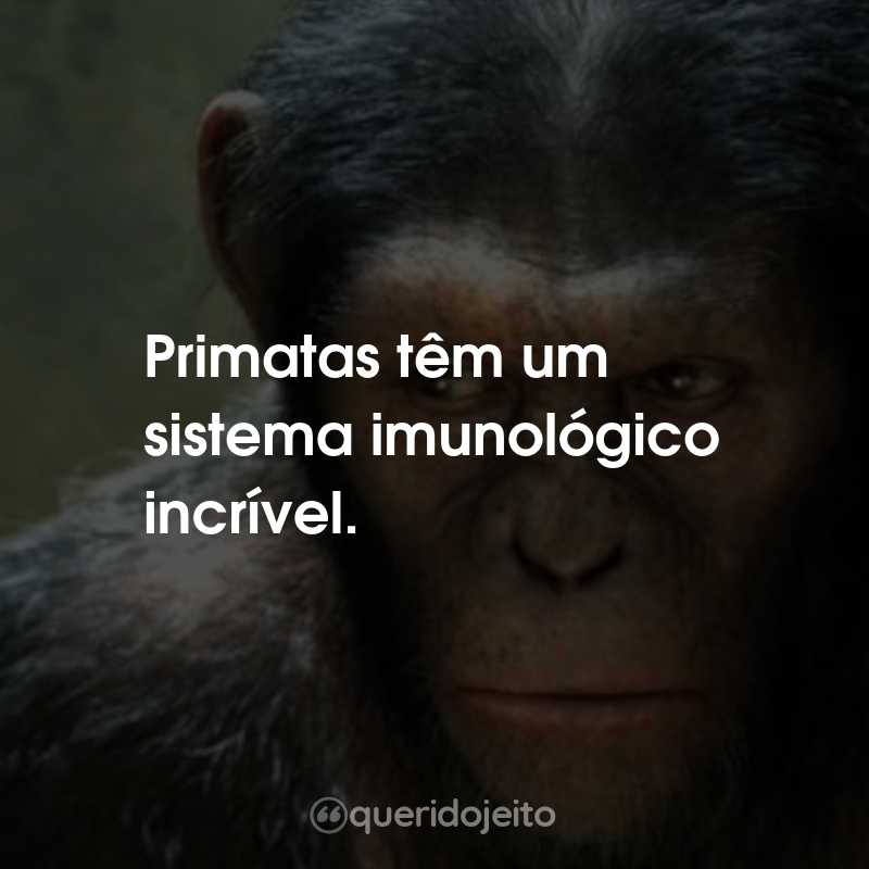 Frases do Filme Planeta dos Macacos: A Origem: Primatas têm um sistema imunológico incrível.