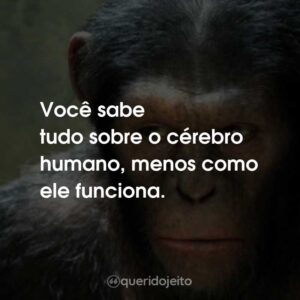 Você sabe tudo sobre o cérebro humano, menos como ele funciona.