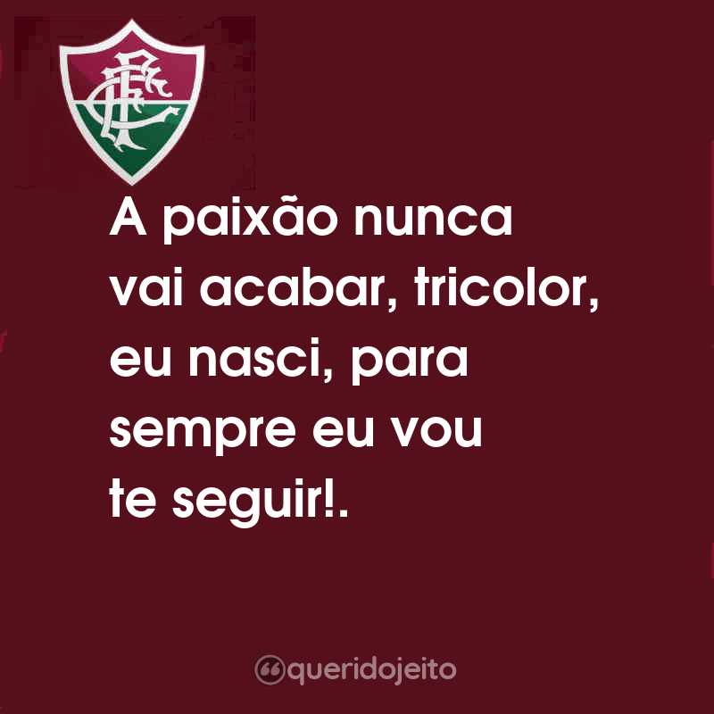 Frases do Fluminense Football Club: A paixão nunca vai acabar, tricolor, eu nasci, para sempre eu vou te seguir!