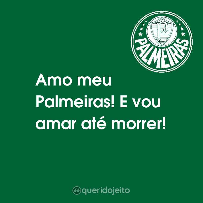 Frases de Sociedade Esportiva Palmeiras: Amo meu Palmeiras! E vou amar até morrer!