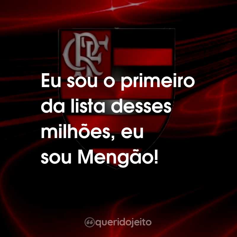 Frases do Clube de Regatas do Flamengo: Eu sou o primeiro da lista desses milhões, eu sou Mengão!