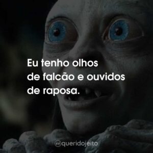 Eu tenho olhos de falcão e ouvidos de raposa.