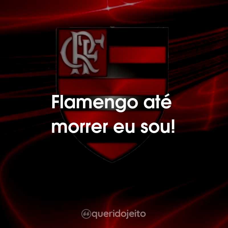 Frases do Clube de Regatas do Flamengo: Flamengo até morrer eu sou!