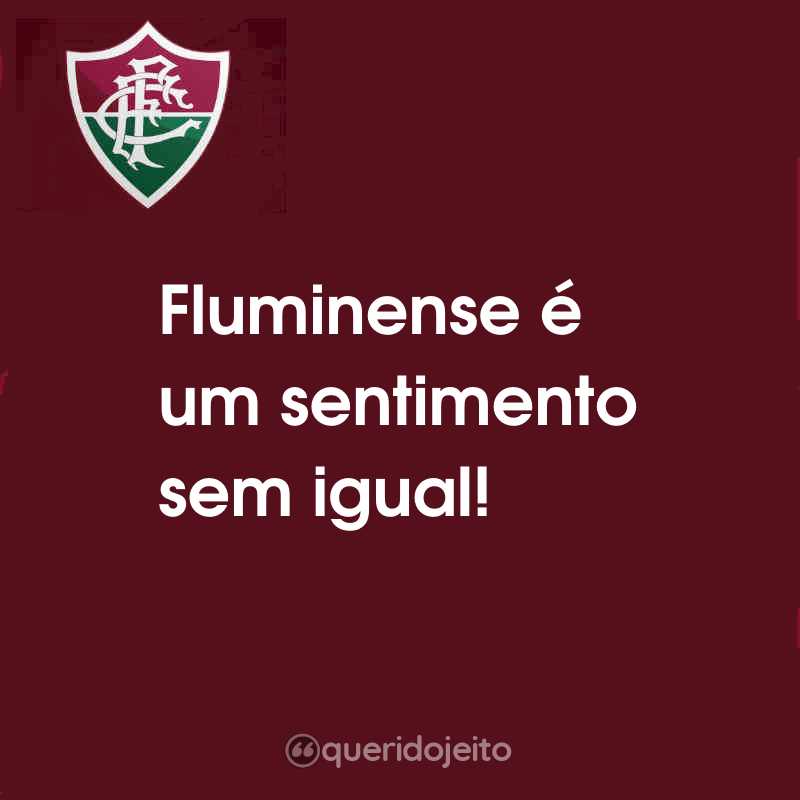 Fluminense é um sentimento sem igual!