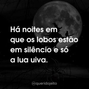 Há noites em que os lobos estão em silêncio e só a lua uiva.