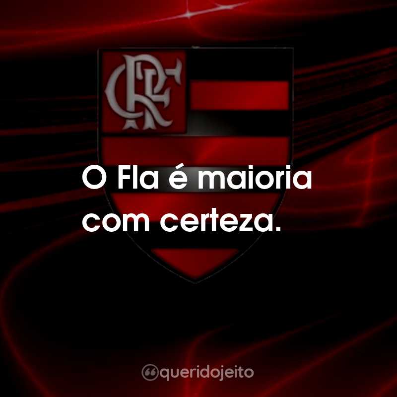 Frases do Clube de Regatas do Flamengo: O Fla é maioria com certeza.