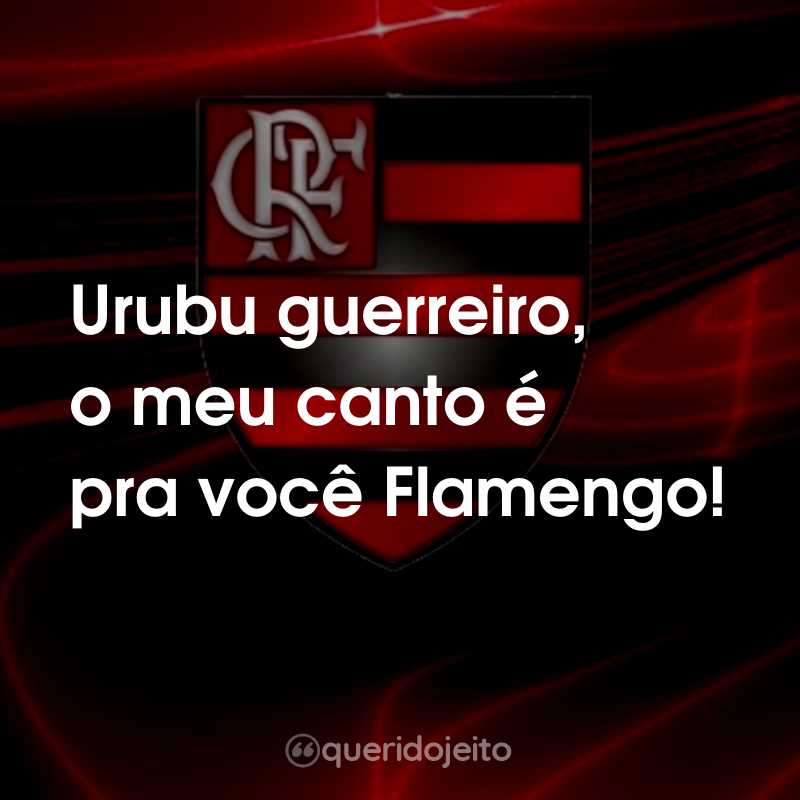 Frases do Clube de Regatas do Flamengo: Urubu guerreiro, o meu canto é pra você Flamengo!