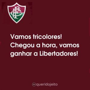 Vamos tricolores! Chegou a hora, vamos ganhar a Libertadores!