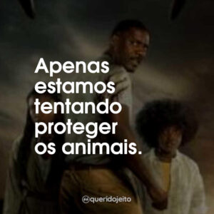 Apenas estamos tentando proteger os animais.
