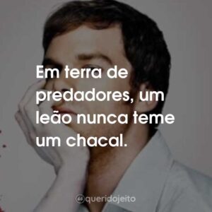 Em terra de predadores, um leão nunca teme um chacal.