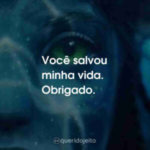 Você salvou minha vida. Obrigado.