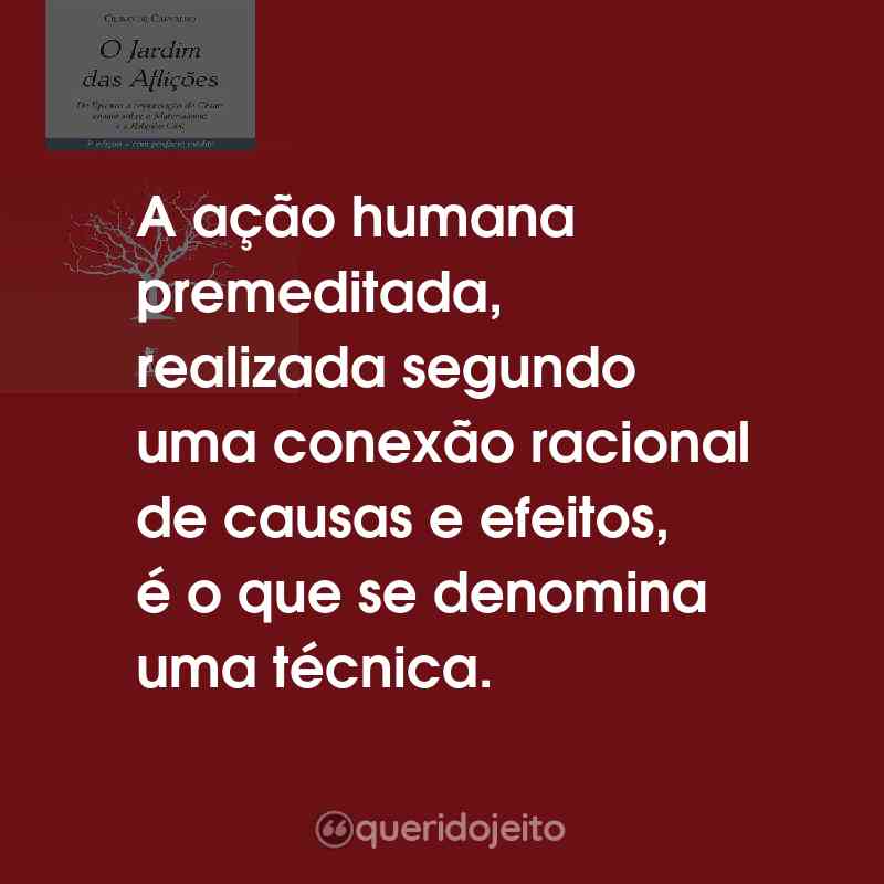 Frases do Livro O Jardim das Aflições: A ação humana premeditada, realizada segundo uma conexão racional de causas e efeitos, é o que se denomina uma técnica.