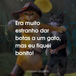 Era muito estranho dar botas a um gato, mas eu fiquei bonito!
